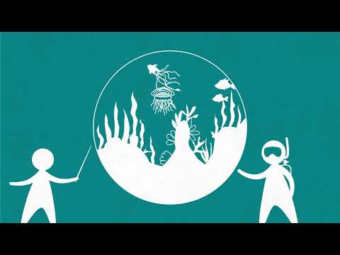 BNE in Niedersachsen - Schulen für die Zukunft