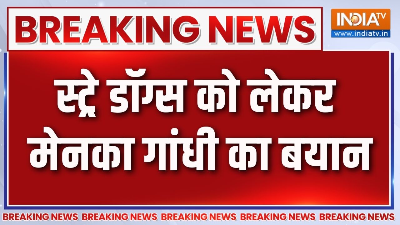 Breaking News: स्ट्रे डॉग्स को लेकर मेनका गांधी का बयान | Supreme Court | 