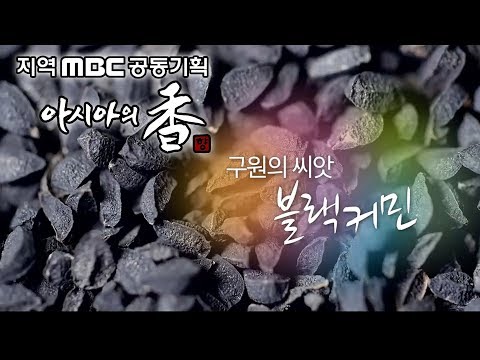 , title : 'MBC HD 다큐멘터리 - 아시아의 香 3부 [구원의 씨앗 블랙커민]'