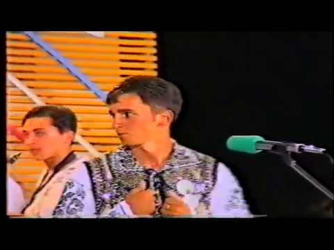 Alibunar 1996 - solistii vocali si instrumentisti de la Costei