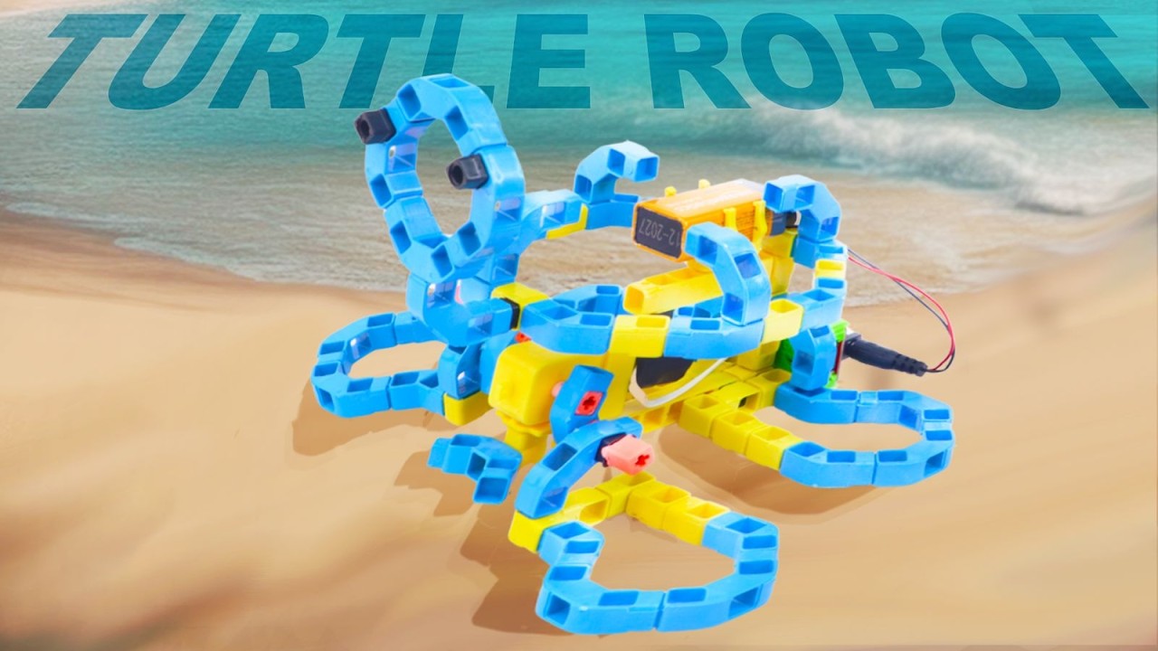 Make a Moving Turtle Robot