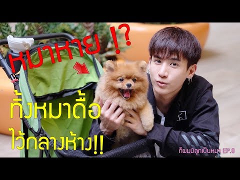 Sulsenovogo วางโรคสะเก็ดเงิน ข้าวและโรคสะเก็ดเงิน