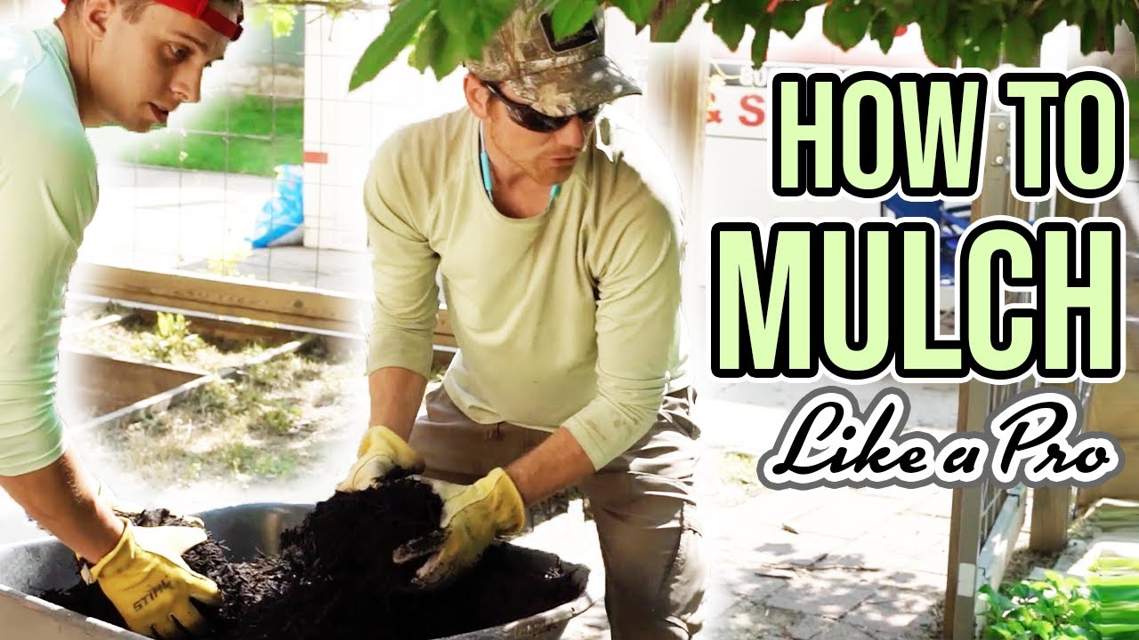 How to spread Mulch Like a Pro | Sam Care