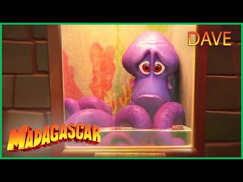 Capa de DreamWorks Madagascar em Português | A Vida de Dave | Os Pinguins de Madagascar   Desenhos Animados