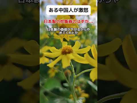 【笑】日本製の炊飯器のはずが…中国人が怒りの投稿 #shorts