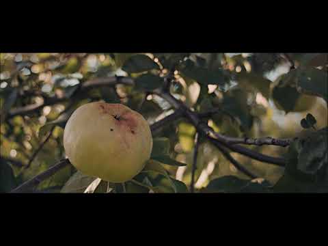 Polly - Kate Rusby