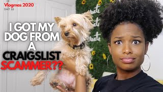I Got My Dog From A Craigslist Scammer // LexTalk: Storytime // VLOGMAS 2020 Day 22