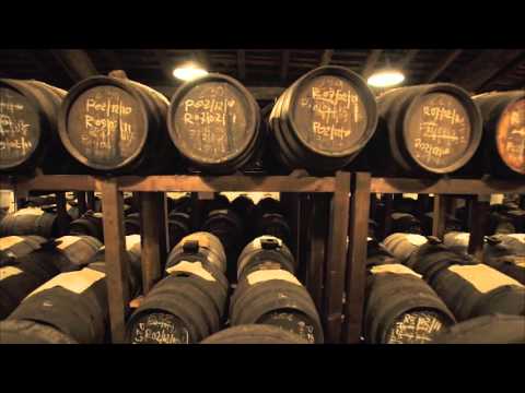 download lagu mp3 mp4 Casa Di Oliva Balsamic Vinegar, download lagu Casa Di Oliva Balsamic Vinegar gratis, unduh video klip Casa Di Oliva Balsamic Vinegar
