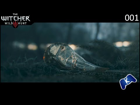 The Witcher 3, Next-Gen Update ⚔️001: Ein sehr Lehrreicher Traum (Deutsch / 4K)