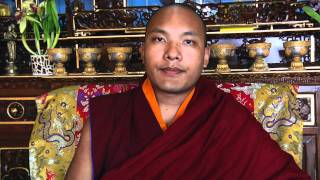 His Holiness Karmapa New Year Message - 2011 - Chinese