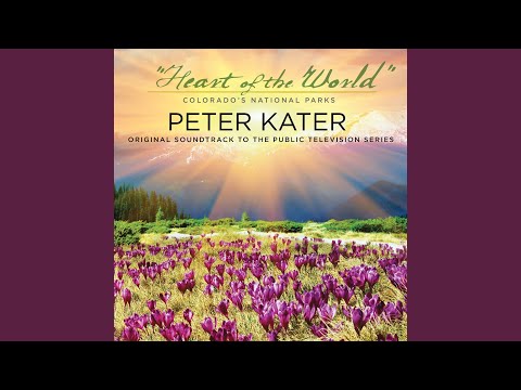 Kaleidoscope Flowers