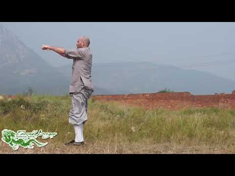 Shaolin small cannon fist - Shaolin Xiao Pao Quan - 少林小炮拳