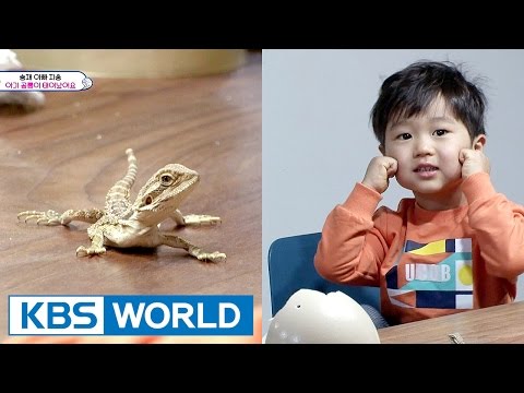 The Return of Superman | 슈퍼맨이 돌아왔다 - Ep.175 : Love Comes Back [ENG / 2017.04.02]