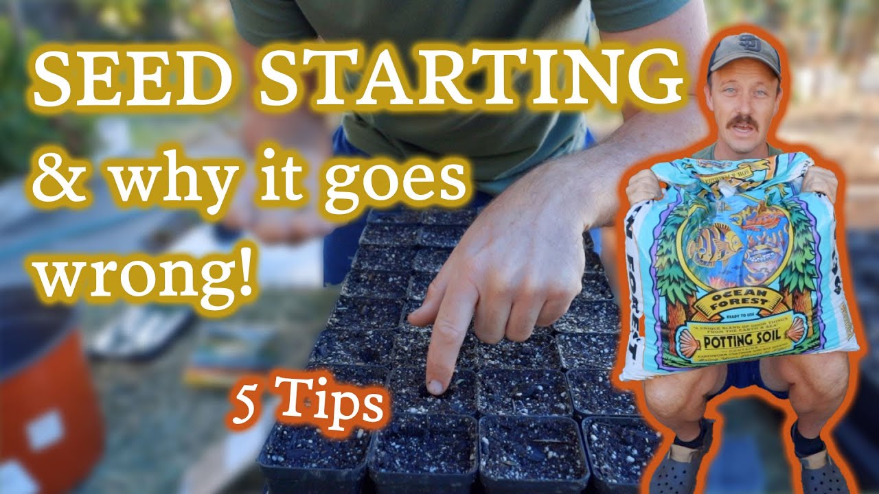 Seed Starting Success! Get Better Germination Rates With These 5 Tips