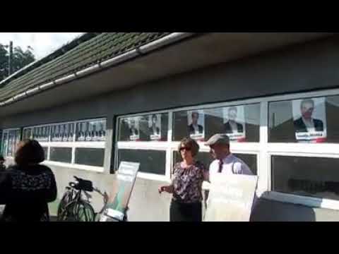 Campania electorala PSD