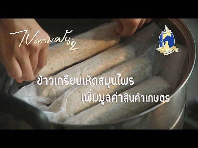 ข้าวเกรียบเห็ดสมุนไพร แปรรูปเพิ่มมูลค่า | #ไปตามฝัน2