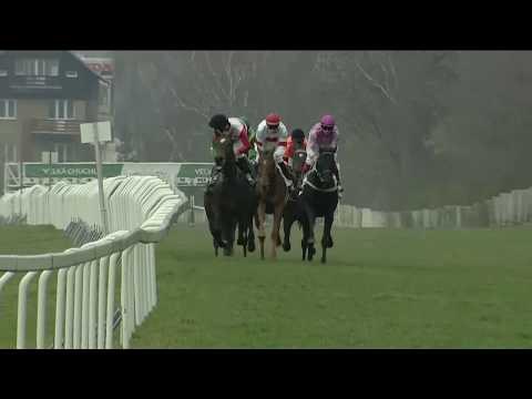 3. dostih (010105) CENA SPOLEČNOSTI TOTO CZ - Video záznam Gomba handicapu 2018 ve Velké Chuchli