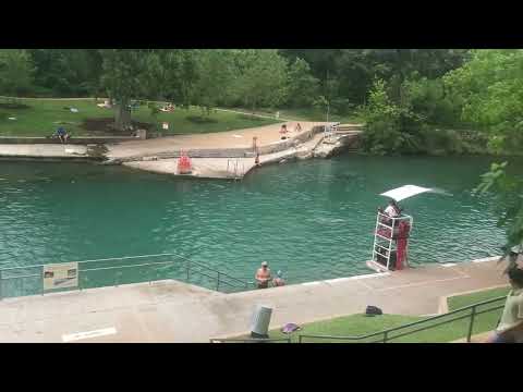 Barton Springs Pool Austin's Urban Springs Swimming Hole