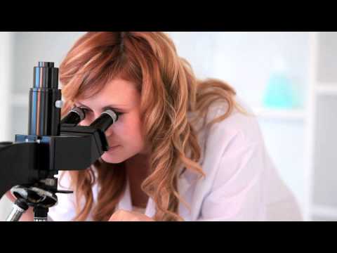 download lagu mp3 mp4 Vagi Moose, download lagu Vagi Moose gratis, unduh video klip Vagi Moose