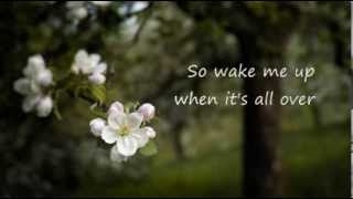 Wake me up Madilyn Bailey cover (lyrics)