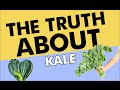 Kale Health Benefits And Nutrition The Truth About Shape