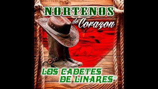 No Seas Ingrata - Los Cadetes de Linares