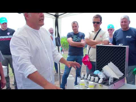 BASF Dan polja u Pančevu, jun 2018