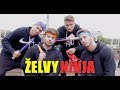 NAPODOBUJEME ŽELVY NINJA W Silly Toons