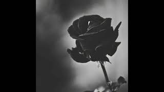 won’t go away - vertical horizon slowed version