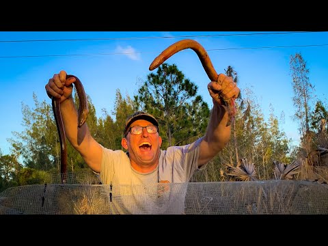 Slimy Freshwater EEL {Catch Clean Cook} The Craziest CCC Ever!!!