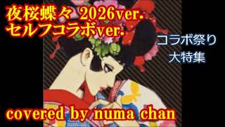 コラボ祭り大特集⑧「夜桜蝶々」🌸2026ver.♯5/あさみちゆきver. covered by numa &numa2😅