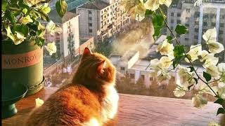 Download lagu Yovie Nuno - sampai akhir waktu // (speed up) mp3 Download lagu Yovie Nuno - sampai akhir waktu // (speed up) mp3