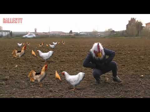 Real Cazzery parodia Mistero - Polli OGM