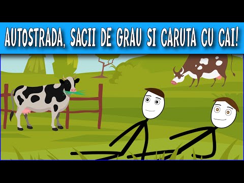 AVENTURI CU DUBA: AUTOSTRADA, SACII DE GRAU SI CARUTA CU CAI!