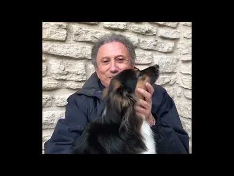 image : Michel Drucker présente sa chienne Ysia