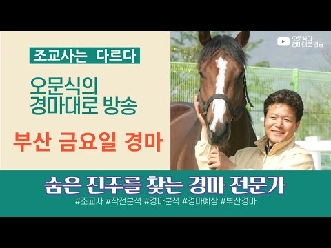 10/24-금요부산-오문식 - 내용이 있는 복병마가 많이 출주하는 ,최선을 다하겠습니다