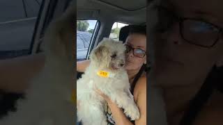 CHEWY IS UNDER 24HR CARE SINCE SATURDAY NIGHT.. CHEWY IS UNDER 24HR CARE SINCE SATURDAY NIGHT..