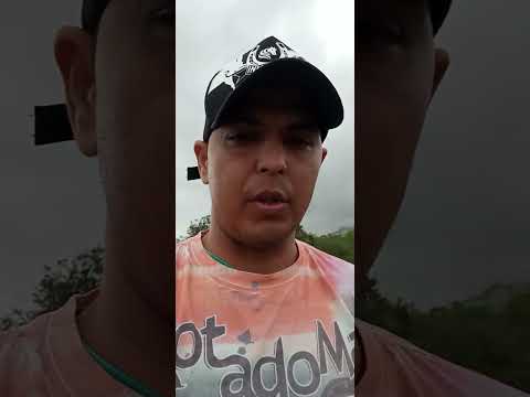 mostrando para vocês o plantio de tomate na cidade tacaimbó