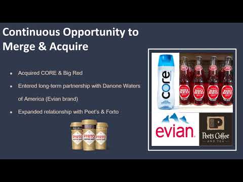 Leo Consulting Firm Presentation Team 1