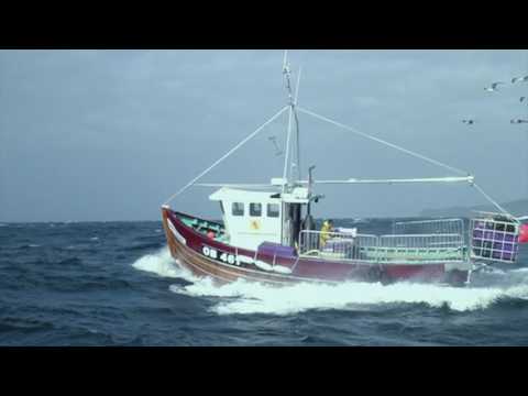 download lagu mp3 mp4 Skipinnish Alive Lyrics, download lagu Skipinnish Alive Lyrics gratis, unduh video klip Skipinnish Alive Lyrics