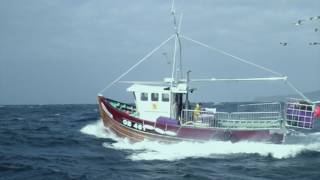 Skipinnish // Alive [Official Video]