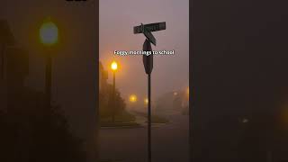 Download lagu Which one gives you the feeling? 🥹 #shorts #nostalgia #vibes mp3 Download lagu Which one gives you the feeling? 🥹 #shorts #nostalgia #vibes mp3