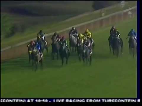 2013-05-17 Greyville - race 8