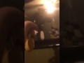 Madagascar 2 Escena 4 Doblaje Avi