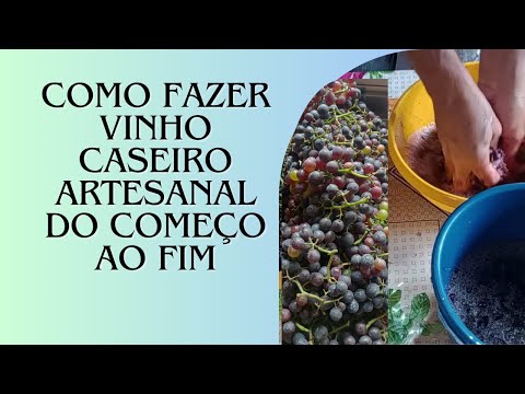 COMO FAZER VINHO CASEIRO #ARTESANAL DO COMEÇO AO FIM