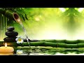 30 Minutes Relaxing Water flow sound with deep Relaxing Music 2 || Nature sounds || By @relaxsoul