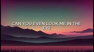 Pink &amp; Indigo Girls - Dear Mr. President (Lyrics)