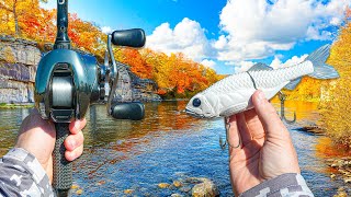 Hunting A GIANT River For Cold-Water Bass (Insane Day)