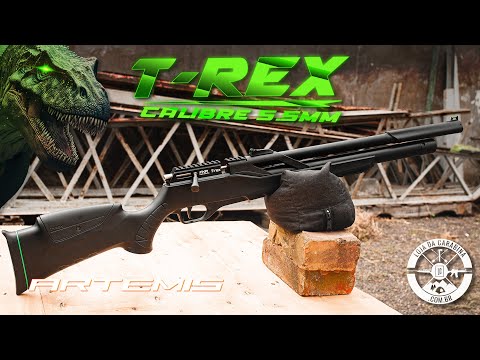 PCP Artemis T-Rex Full Size Calibre 5.5mm (.22) Review Completo