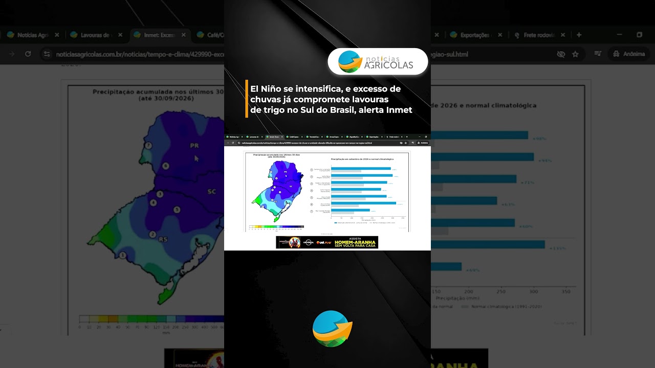 El Niño se intensifica, e excesso de chuvas já compromete lavouras de trigo no Sul do Brasil